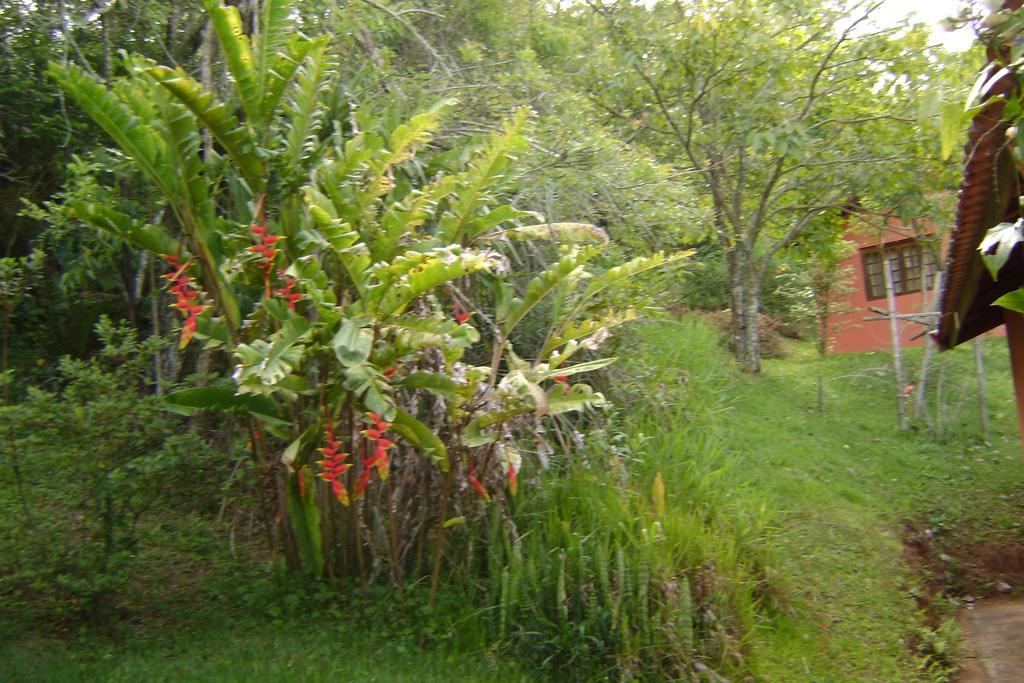 Pousada Passaredo Montanha Ibiúna Extérieur photo